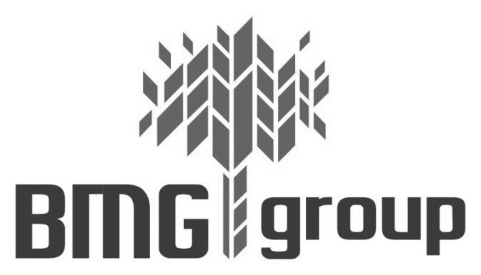 Bmg Group With Logo Device mark 2144272 Trademark