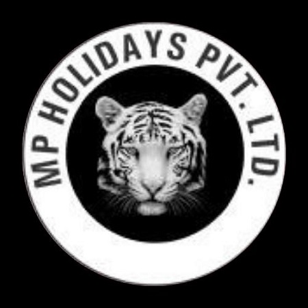 Mp Holidays Pvt.ltd. Device mark 6493221 Trademark