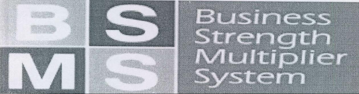 Bsms Business Strength Multiplier System Device mark 2179921 Trademark