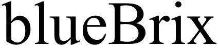 Bluebrix Device mark 5756566 Trademark