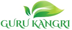Guru Kangri (device) Device mark 6494363 Trademark