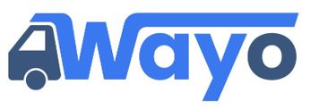 Wayo Device mark 6494942 Trademark