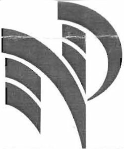 Np Logo Device mark 2980218 Trademark
