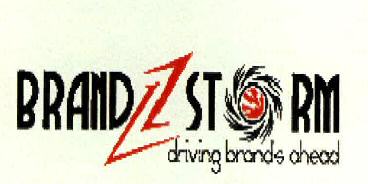 Brandzstorm Device mark 2264193 Trademark