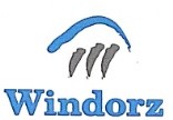 Windorz Device mark 6498422 Trademark