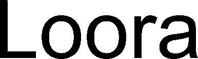 Loora Device mark 5290437 Trademark