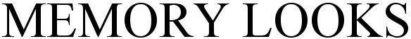 Memory Looks Device mark 5228147 Trademark