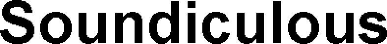 Soundiculous Device mark 5195333 Trademark