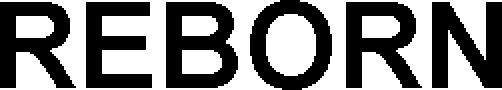 Reborn Device mark 5579051 Trademark