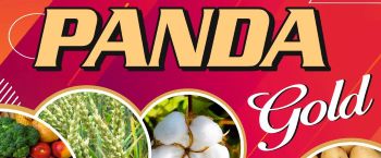 Panda Gold Device mark 6498823 Trademark