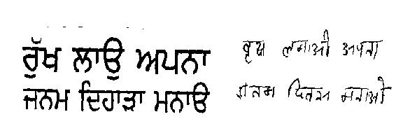Plant A Tree Own Brithday (device) Device mark 2273653 Trademark