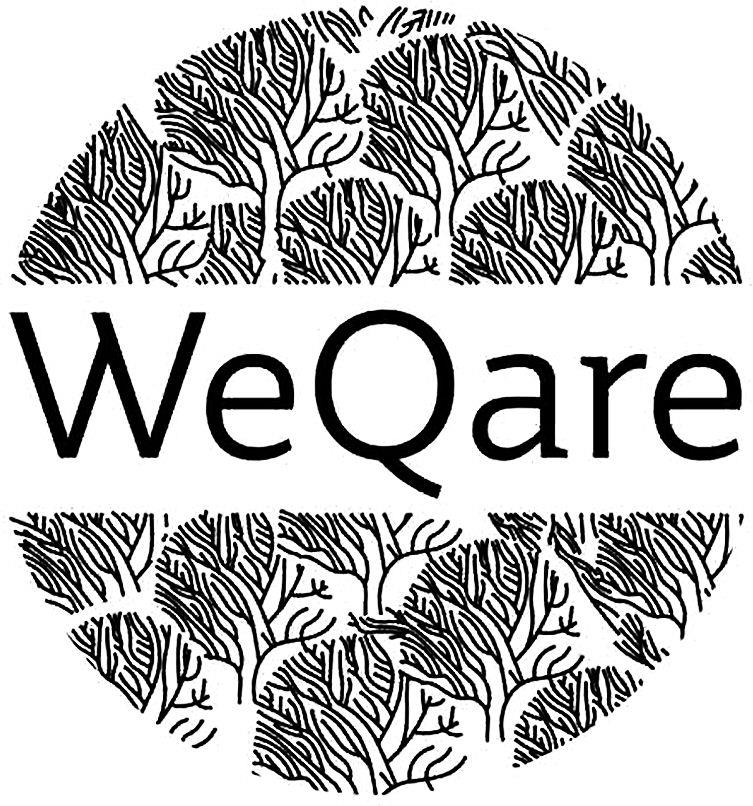 Weqare Device mark 5536767 Trademark