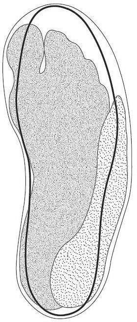 Device Device mark 5481586 Trademark