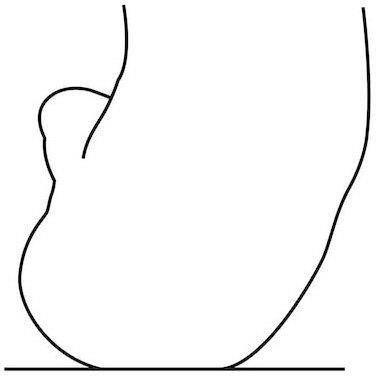 Device Device mark 5480426 Trademark