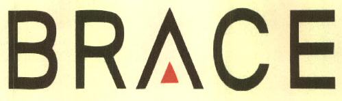 Brace Device mark 2890266 Trademark