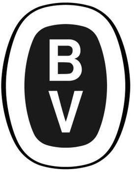 Bv Device mark 5372589 Trademark