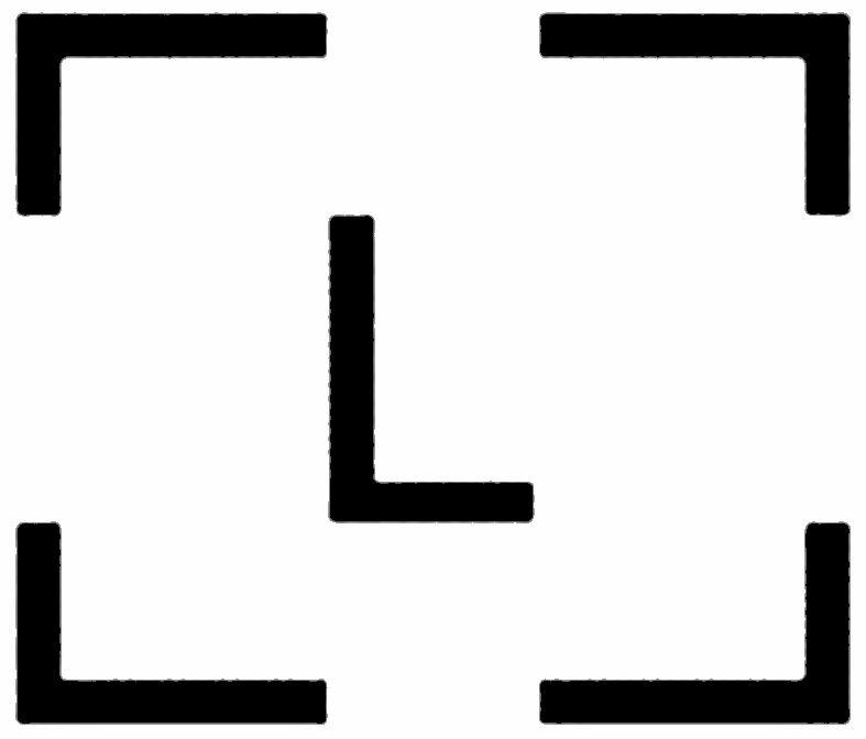 L Device mark 5306662 Trademark