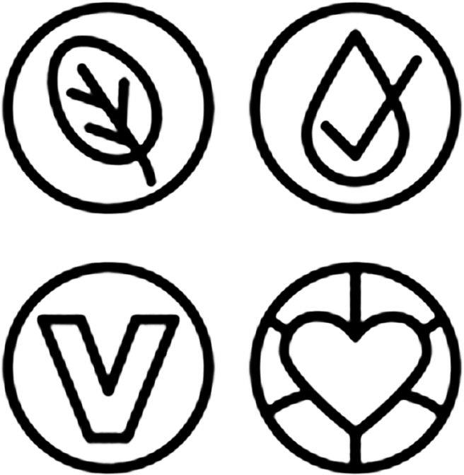 V Device mark 5293642 Trademark