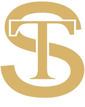Logo Of Sentini Device mark 6505649 Trademark