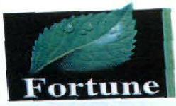 Fortune With Label Device mark 2075252 Trademark