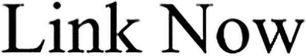 Link Now Device mark 4879068 Trademark