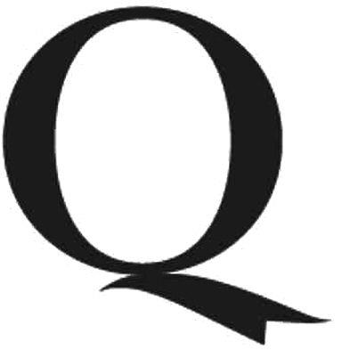 Q Device mark 4869678 Trademark
