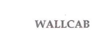Wallcab Device mark 2414138 Trademark