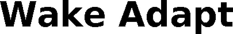 Wake Adapt Device mark 4801027 Trademark