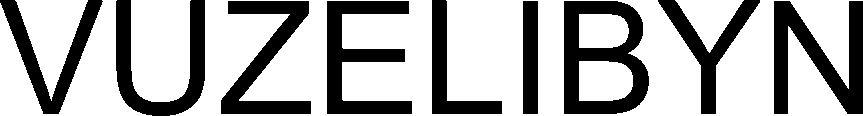 Vuzelibyn Device mark 4688056 Trademark