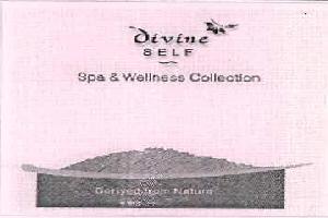 Divine Self Device mark 2487821 Trademark