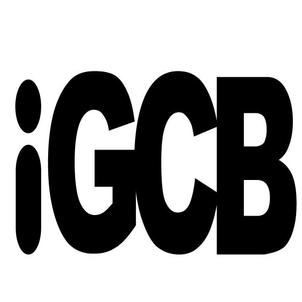 Igcb Device Device mark 6519345 Trademark