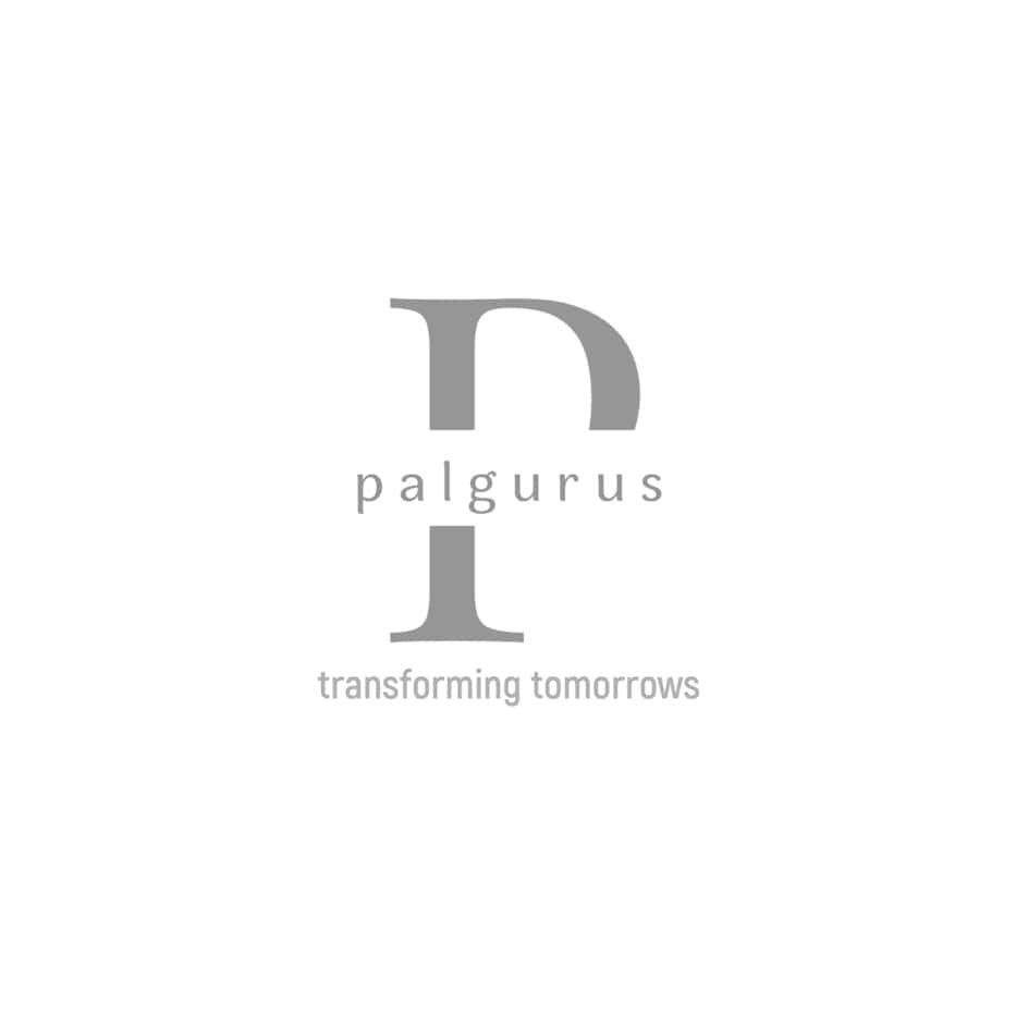 Palgurus - Transforming Tomorrows Device mark 6526853 Trademark