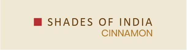 Shades Of India Cinnamon Device mark 6526006 Trademark