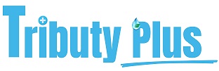 Tributy Plus Device mark 6529655 Trademark