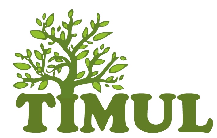 Timul Device mark 6531684 Trademark