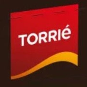Torrie Device mark 6531029 Trademark