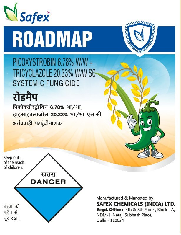 Roadmap Device mark 6533871 Trademark