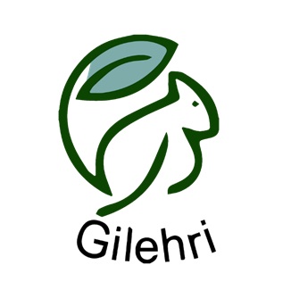 Gilehri Device mark 6535425 Trademark