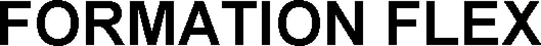 Formation Flex Device mark 4385217 Trademark