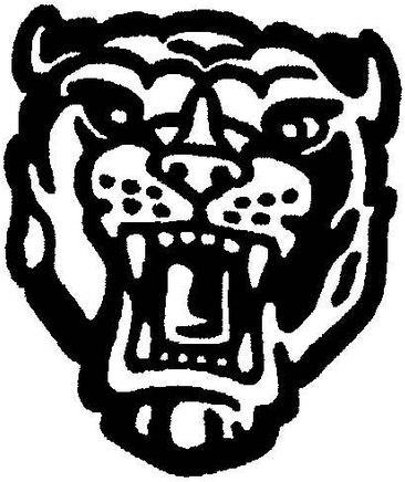Device Device mark 4339389 Trademark