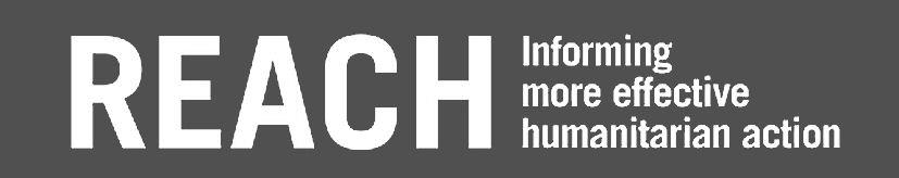 Reach Informing More Effective Humanitarian Action Device mark 4328919 Trademark