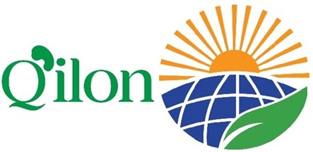 Q'ilon Device mark 6542002 Trademark