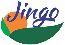 Jingo Logo Device mark 2972417 Trademark
