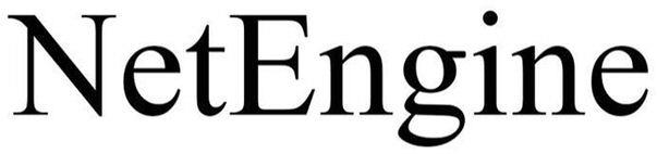 Netengine Device mark 4271418 Trademark