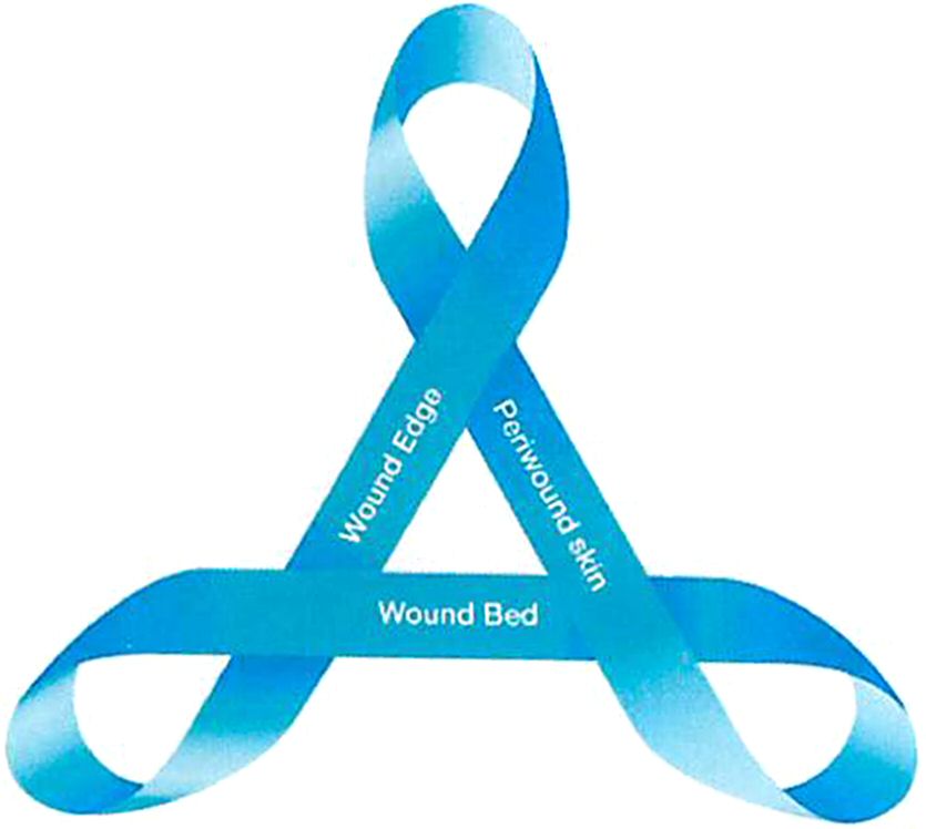 Wound Edge Periwound Skin Wound Bed (with Device) Device mark 3378734 Trademark
