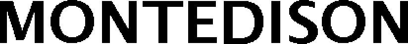 Montedison Device mark 4090964 Trademark