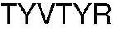 Tyvtyr Device mark 4087347 Trademark