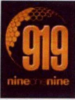 Nineonenine 919 Device mark 2260890 Trademark