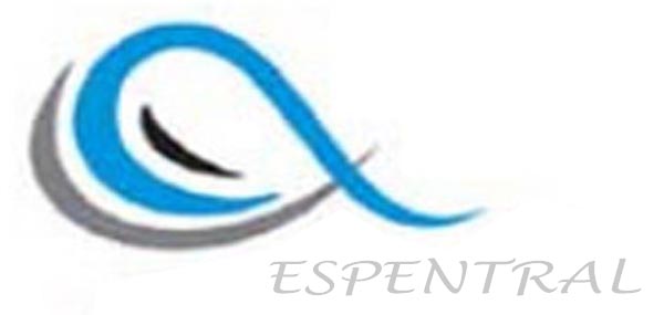 Espentral Device mark 6546253 Trademark