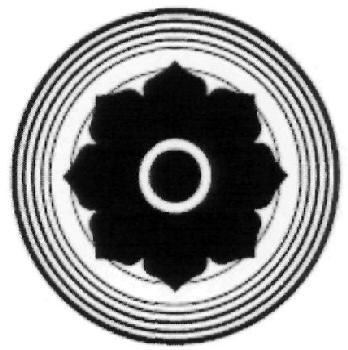 Device Device mark 2510260 Trademark